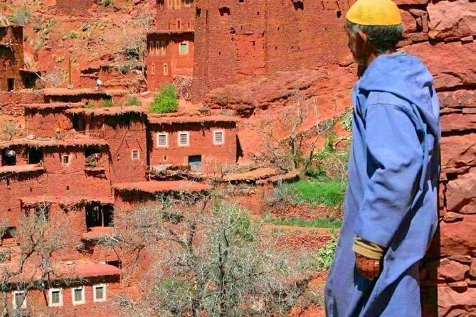 Lunch in the High Atlas: Ourika Valley Waterfalls & 3 Valleys - The argan oil stop and mint tea