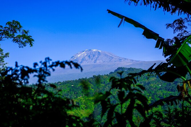 Maasai village visit, Materuni waterfalls & coffee experience - Making coffee the traditional way