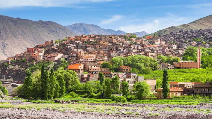 Marrakech: Atlas Mountains, Camel Ride, Waterfalls, & Lunch - Breakfast and argan oil with a Berber cooperative