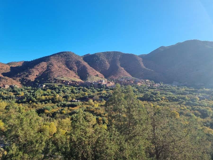 Marrakech: Atlas Mountains, Ourika Valley, Waterfall & Lunch - The 1.5-hour walk to Setti Fadma waterfalls
