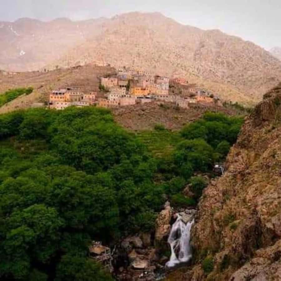 Marrakech: Atlas Mountains & Valleys Waterfall Hike w/ Lunch - Who should book this day in Imlil
