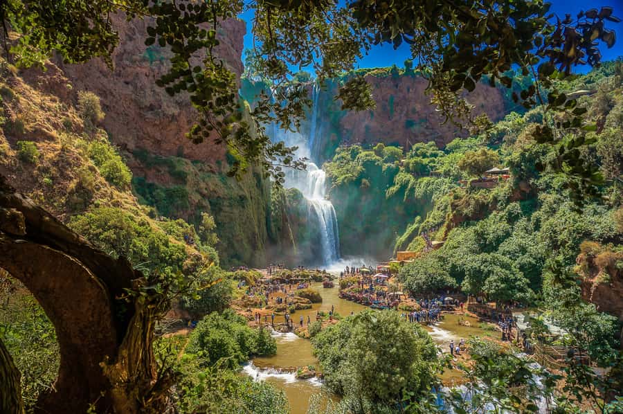 Marrakech: Day Tour to Ouzoud Waterfalls with Boat Trip - Who should book this Ouzoud day trip?