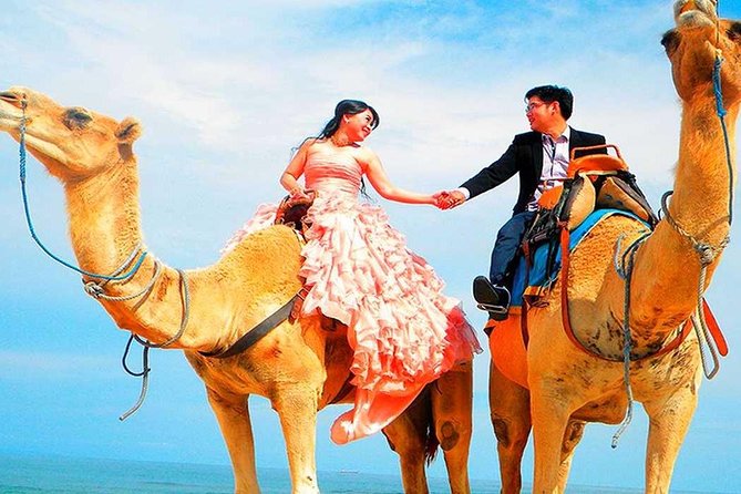 Marrakech High Atlas mountains 3 Valleys waterfalls & Camel Ride - My call: book it if you want a big day for little money
