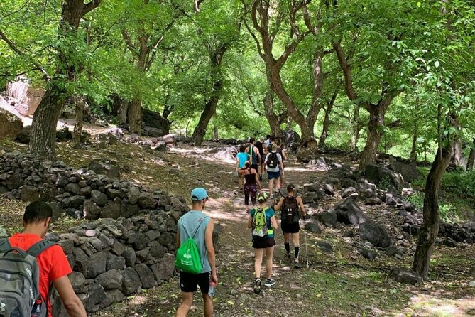 Marrakech: Ourika Valley, Atlas Mountains, Waterfalls & Lunch - Who will enjoy this Ourika Valley day?
