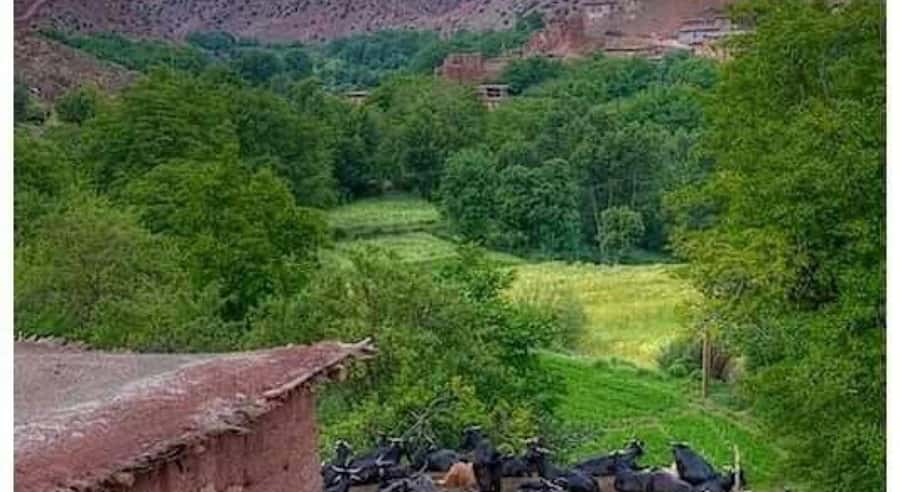 Marrakech: ourika valley lunch & guided hike to waterfalls - Waterfalls, streams, and the best mountain views