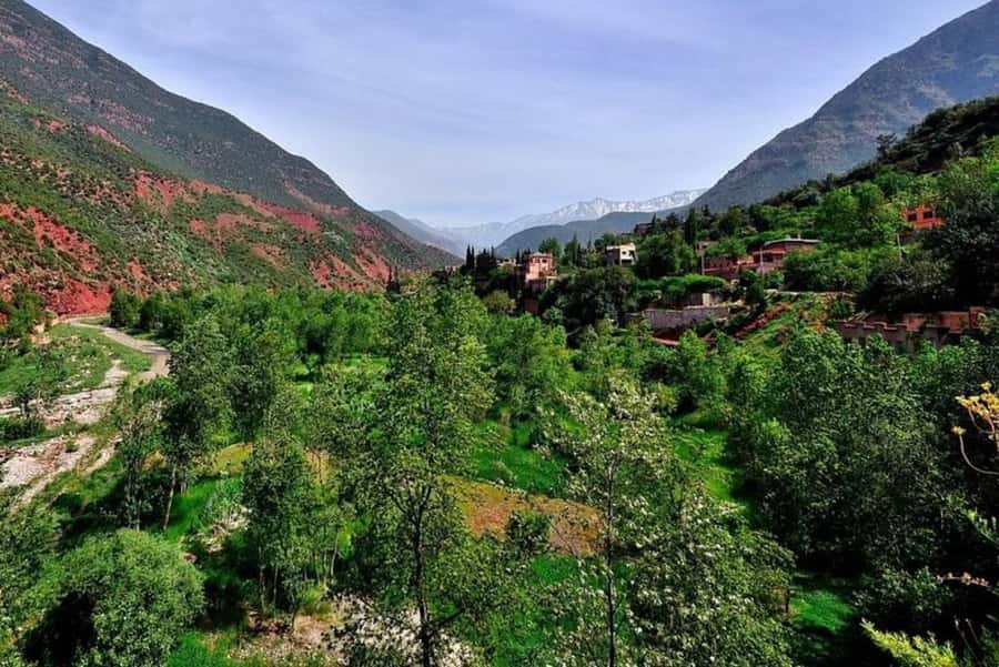 Marrakech: ourika valley lunch & guided hike to waterfalls - Who should book this Ourika Valley outing