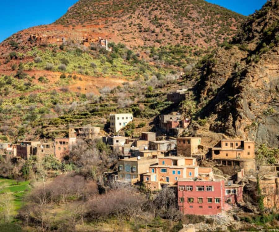 Marrakech: Ourika Valley,Waterfalls, Atlas Luxury Day trip - From Marrakech to the first Atlas foothills
