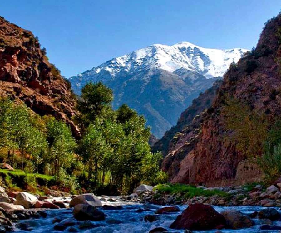 Marrakech: Ourika Valley,Waterfalls, Atlas Luxury Day trip - Is $35 good value?