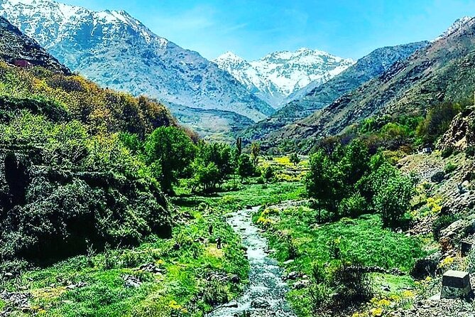 Marrakesh: Atlas Mountains, Imlil Valley & Waterfalls Tour - Breakfast, argan oil, and Berber hospitality