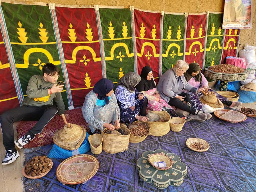 Marrakesh: Ourika Waterfalls, Atlas Mountains, Guide + Lunch - Guides, drivers, and the human side of the trip