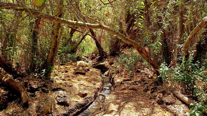 Maspalomas: Hiking in the Waterfalls with Sky Rebels - A green surprise beyond Maspalomas