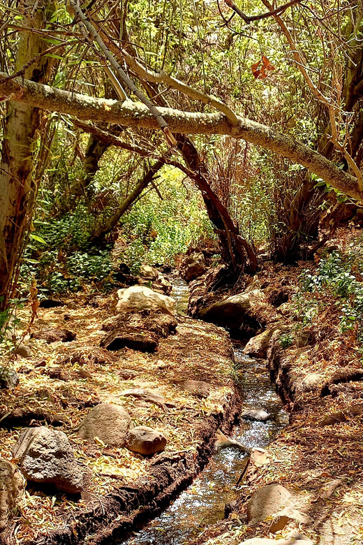 Maspalomas: Hiking in the Waterfalls with Sky Rebels - The return to Maspalomas