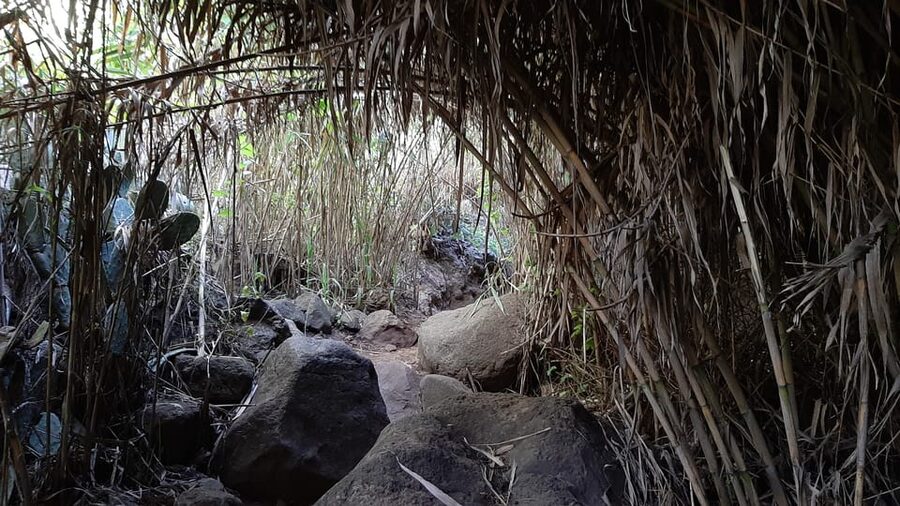 Maspalomas: Hiking in the Waterfalls with Sky Rebels - Who should book this Gran Canaria hike?