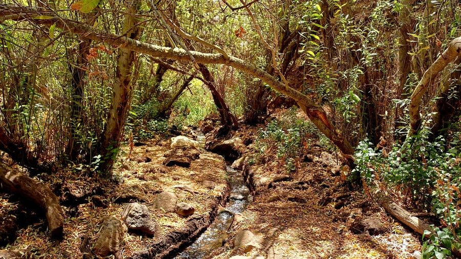 Maspalomas: Hiking in the Waterfalls with Sky Rebels - Should you book it?