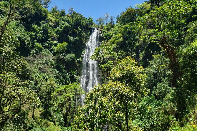 Materuni Waterfall, Coffee Tour and Picnic Hot Lunch - Walking the 40-minute trail to Materuni Waterfall