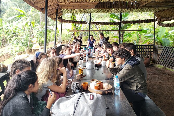 Materuni Waterfall, Coffee Tour and Picnic Hot Lunch - A hot lunch cooked by local Mamas
