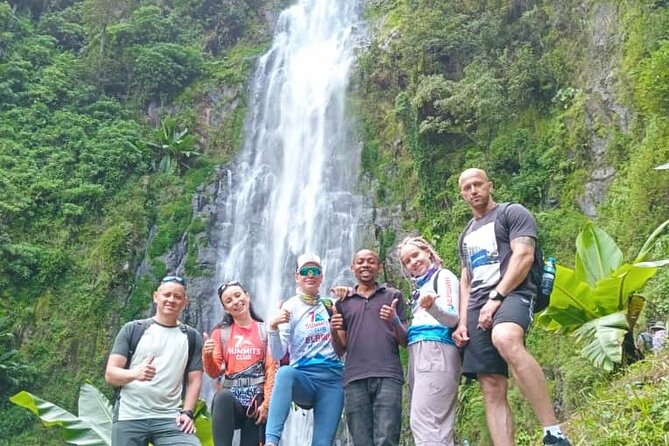 Materuni Waterfall, Coffee Tour and Picnic Hot Lunch - What the $70 price covers
