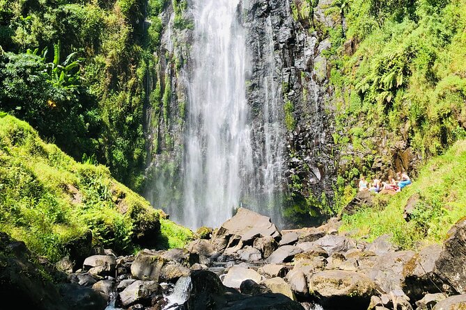 Materuni Waterfall, Coffee Tour and Picnic Hot Lunch - A tall waterfall with a cold swimming pool
