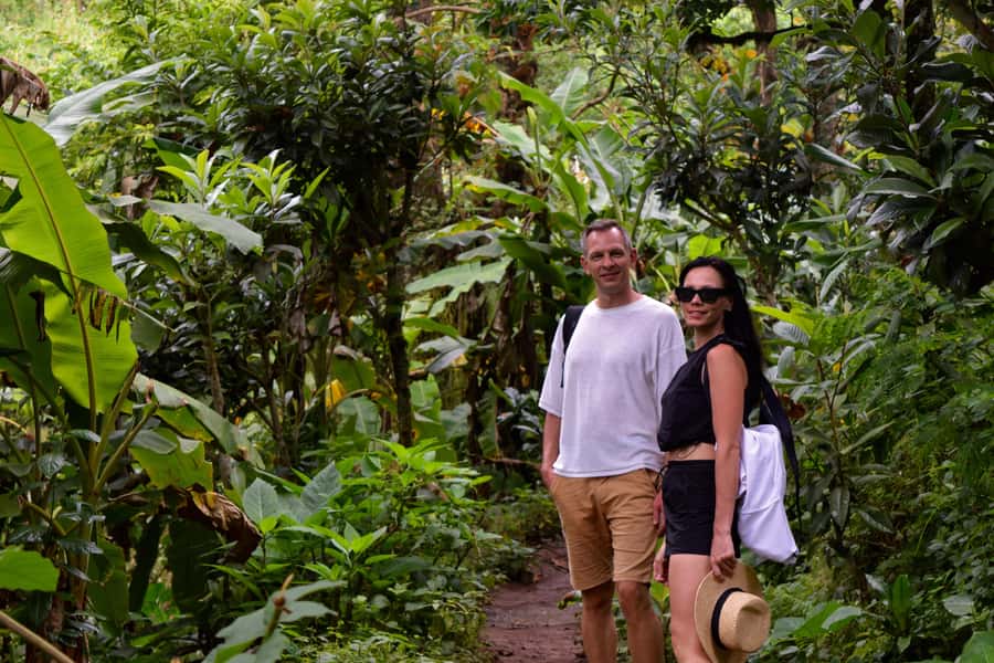 Materuni Waterfalls, Chemka Hot Springs, &/Or Coffee Tour - Key points to know before booking