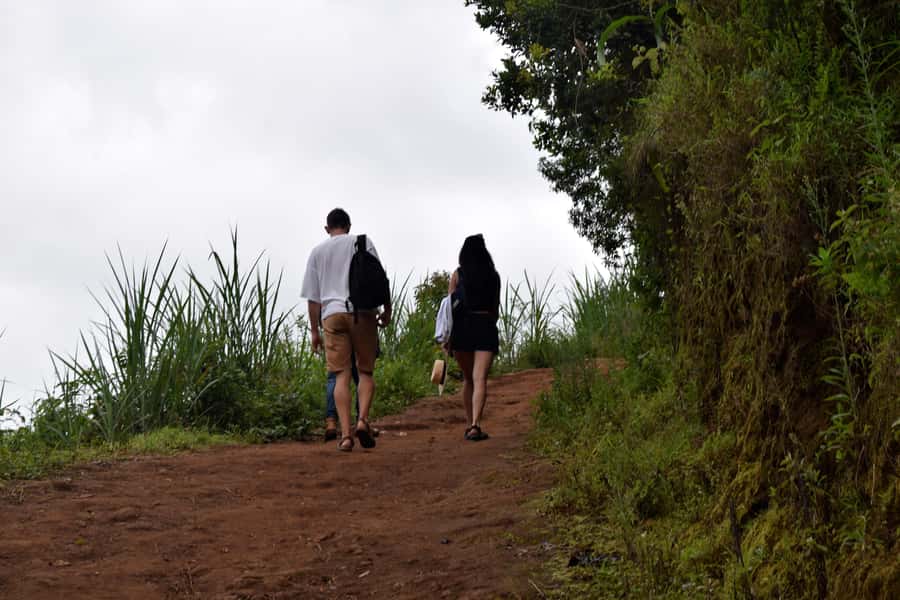 Materuni Waterfalls, Chemka Hot Springs, &/Or Coffee Tour - Why this makes a good Kilimanjaro rest day