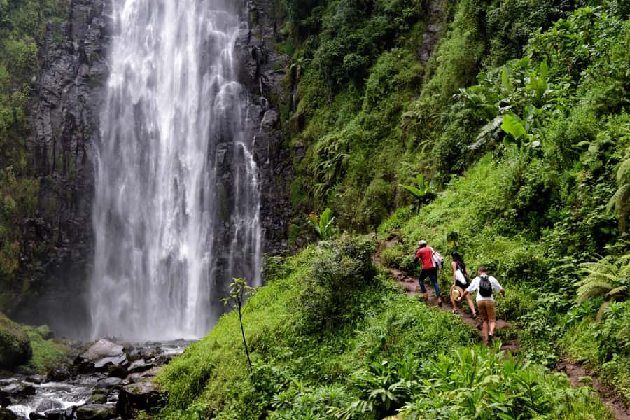 Materuni Waterfalls, Chemka Hot Springs, &/Or Coffee Tour - Coffee made the old-fashioned way