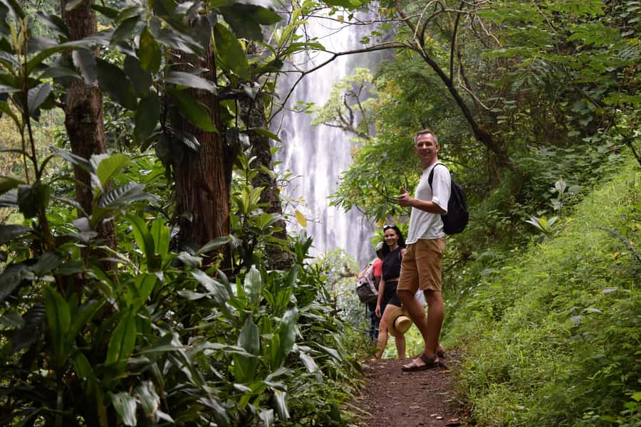 Materuni Waterfalls, Chemka Hot Springs, &/Or Coffee Tour - Guides can shape the whole day