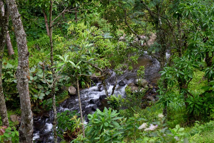 Materuni Waterfalls, Chemka Hot Springs, &/Or Coffee Tour - What to bring for a smoother day