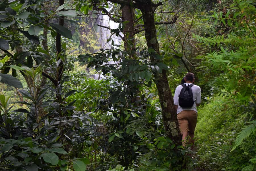 Materuni Waterfalls, Chemka Hot Springs, &/Or Coffee Tour - How the $70 price holds up