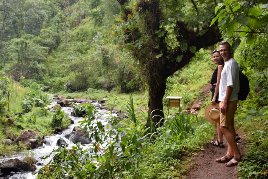 Materuni Waterfalls, Chemka Hot Springs, &/Or Coffee Tour - Should you book it?