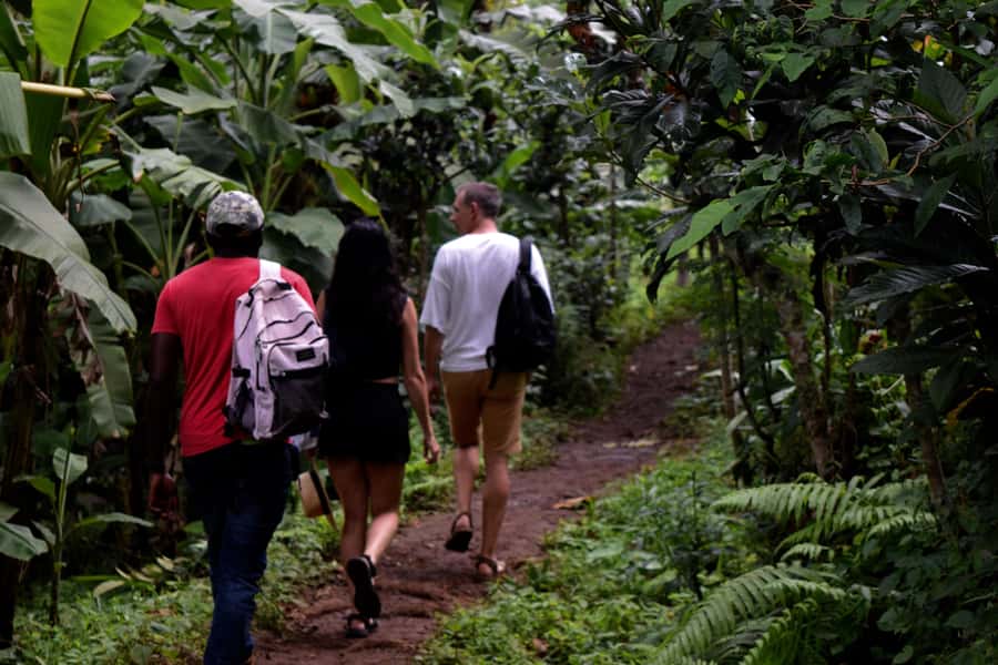 Materuni Waterfalls, Chemka Hot Springs, &/Or Coffee Tour - The walk to Materuni Waterfalls