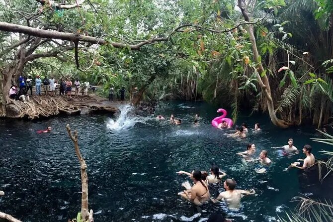 Materuni waterfalls coffee tour & Chemka hot springs Day trip - How long the day really takes