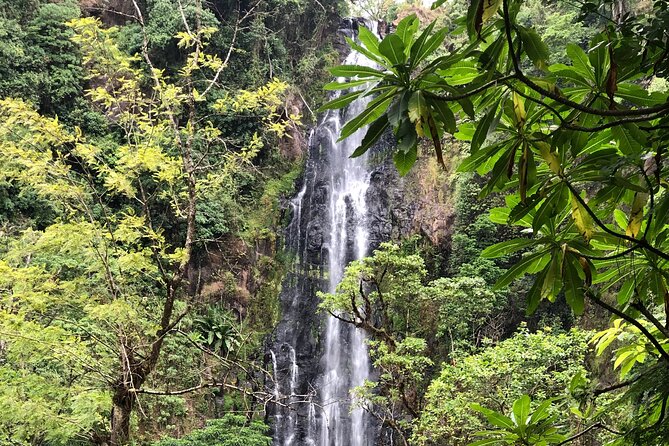 Materuni waterfalls coffee tour & Chemka hot springs Day trip - What the $95 price means