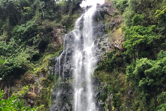 Materuni waterfalls coffee tour & Chemka hot springs Day trip - Small details that make a big difference
