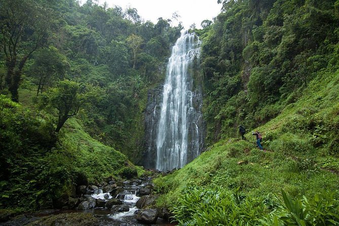 Materuni Waterfalls, coffee tour & Kikuletwa Hot Springs - Key points to know before booking