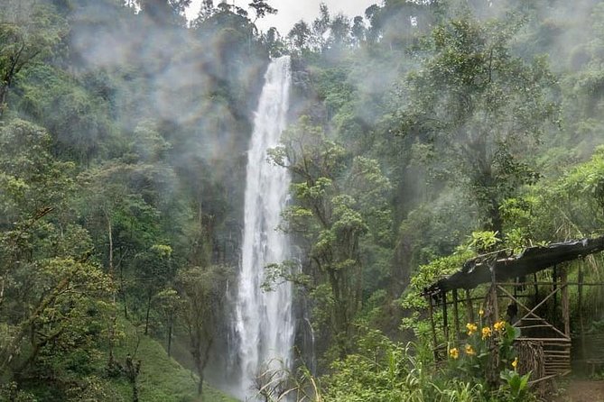 Materuni Waterfalls, coffee tour & Kikuletwa Hot Springs - The long road to Kikuletwa Hot Springs