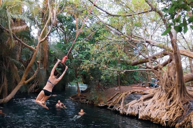 Materuni Waterfalls, coffee tour & Kikuletwa Hot Springs - The guides make a real difference