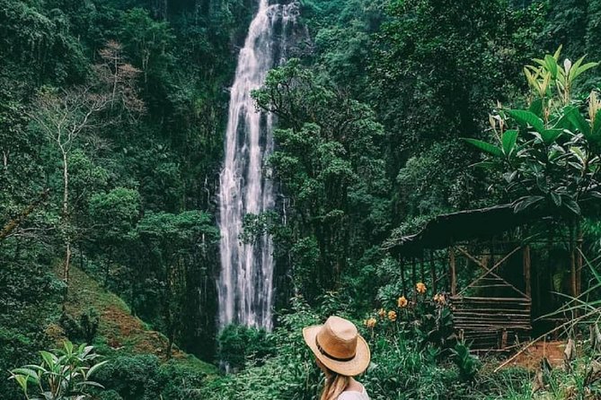 Materuni Waterfalls, coffee tour & Kikuletwa Hot Springs - Learning coffee the Chagga way