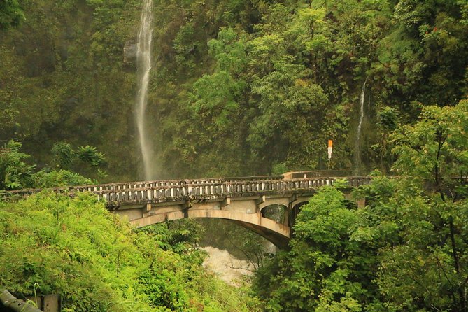Maui: Famous Road to Hana Waterfalls and Lunch by Mercedes Van - Why the Road to Hana works better from a passenger seat