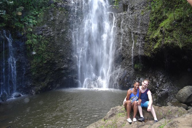 Maui: Famous Road to Hana Waterfalls and Lunch by Mercedes Van - Twin Falls, Haipua‘ena, and the appeal of smaller stops