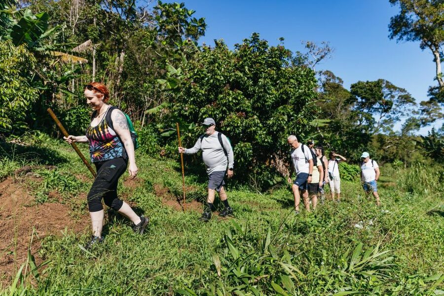 Maui: Rainforest Waterfalls Guided Hike with Picnic Lunch - Booking details worth knowing