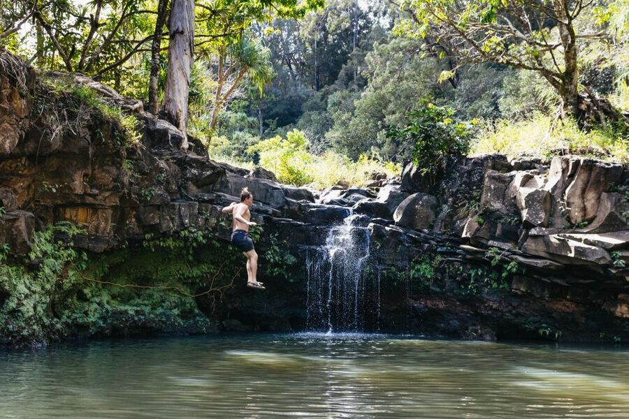 Maui: Rainforest Waterfalls Guided Hike with Picnic Lunch - Lunch beside a waterfall
