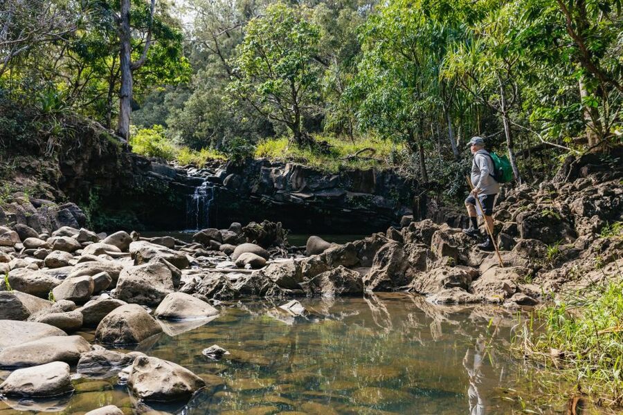 Maui: Rainforest Waterfalls Guided Hike with Picnic Lunch - More than a walk through green forest