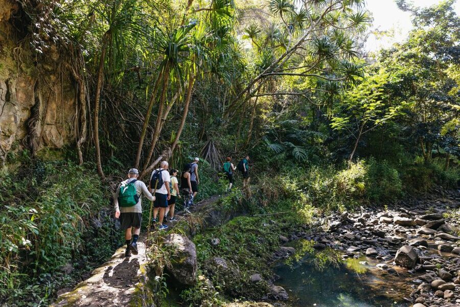 Maui: Rainforest Waterfalls Guided Hike with Picnic Lunch - Who will enjoy this most?