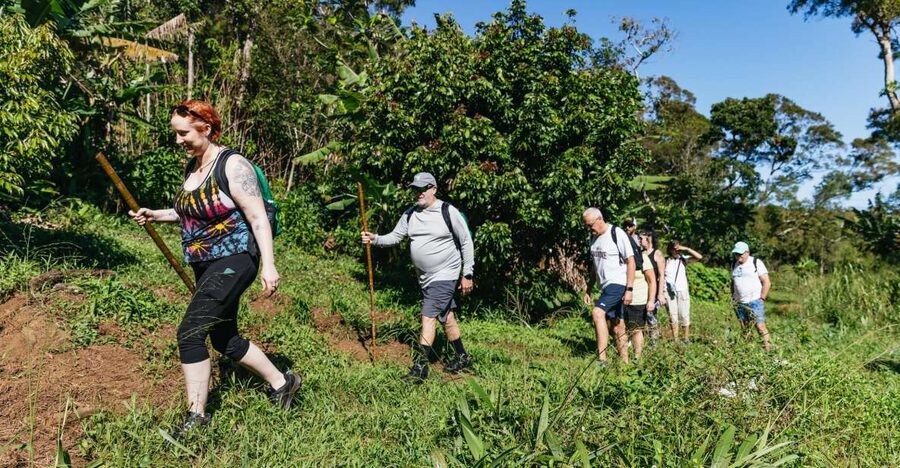 Maui: Rainforest Waterfalls Guided Hike with Picnic Lunch - Waterfalls with room to choose your adventure