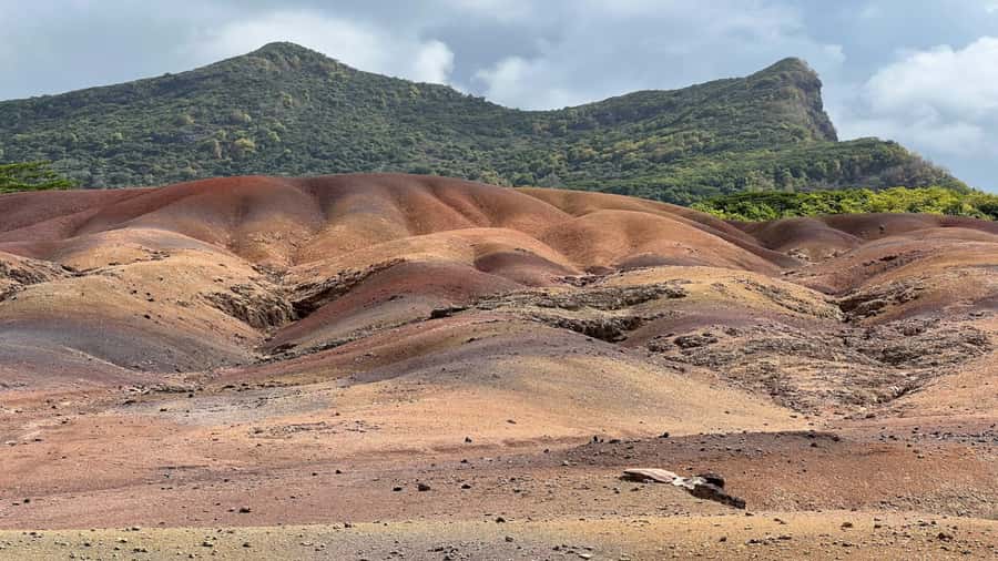 Mauritius: Chamarel 7 Colours & Waterfalls, South-West Tour - Alexandra Falls and Black River Gorges