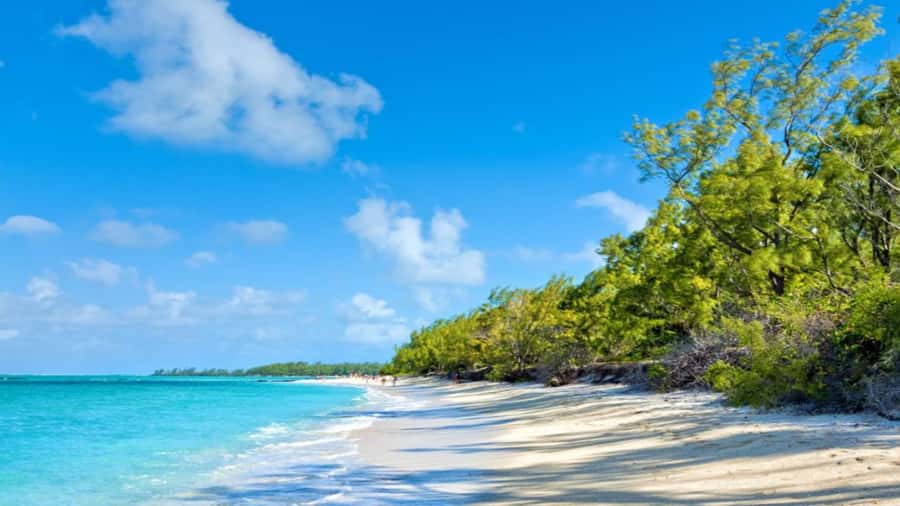 Mauritius: Ile aux Cerf Catamaran w/Waterfall Visit & Lunch - Is the $70 price good value?