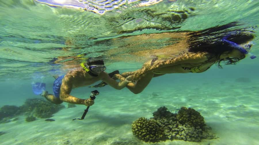 Mauritius: Ile aux Cerf Catamaran w/Waterfall Visit & Lunch - A full day on Mauritius’s east coast