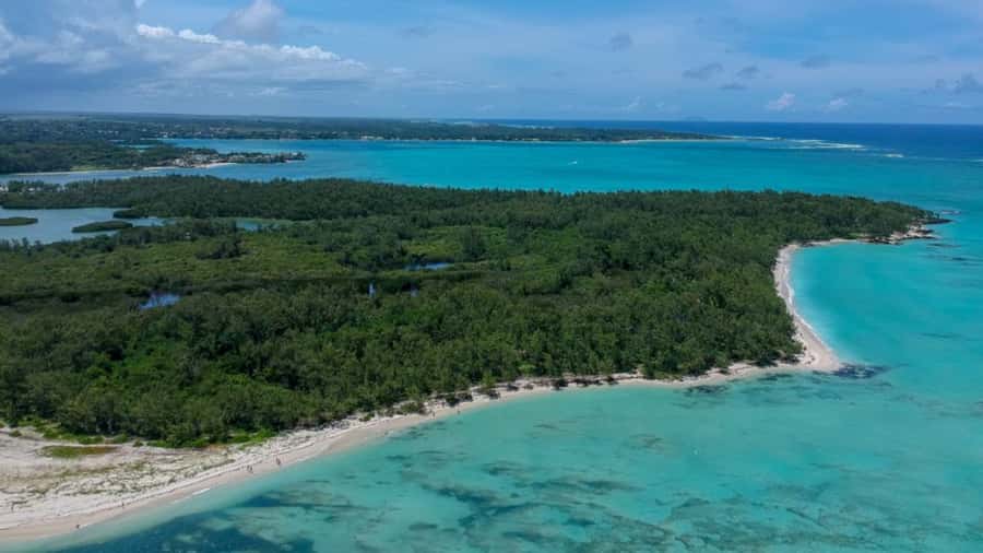 Mauritius: Ile aux Cerf Catamaran w/Waterfall Visit & Lunch - Snorkeling and swimming in clear water