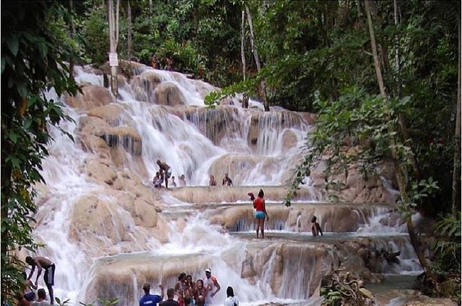 Montego Bay to Dunn's River Falls Half-Day Trip - Climbing the natural terraces with a guide