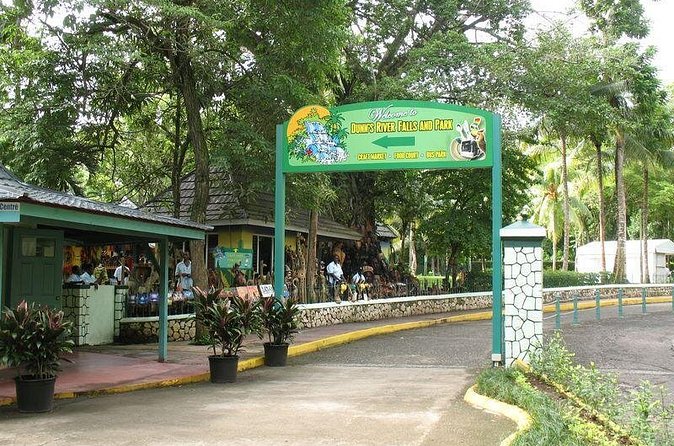 Montego Bay to Dunn's River Falls Half-Day Trip - Practical booking advice for a smoother day